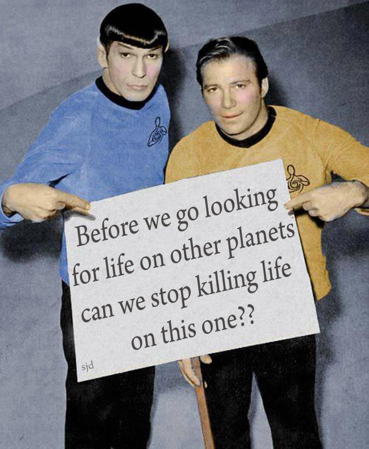 Let's protect life on this planet before we go looking for life on other planets