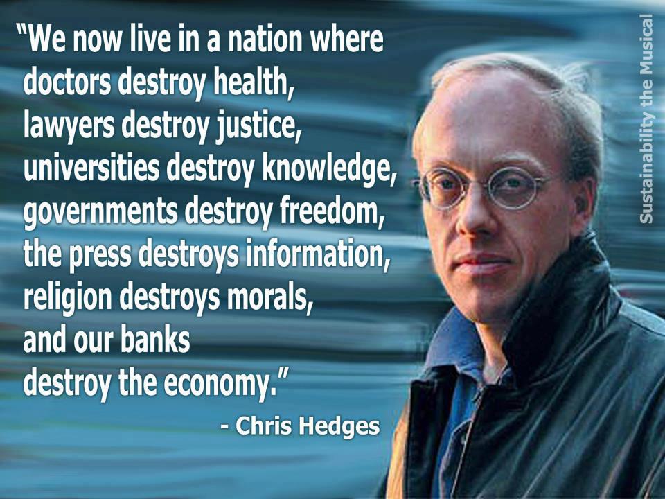 Chris Hedges Quote on American Society